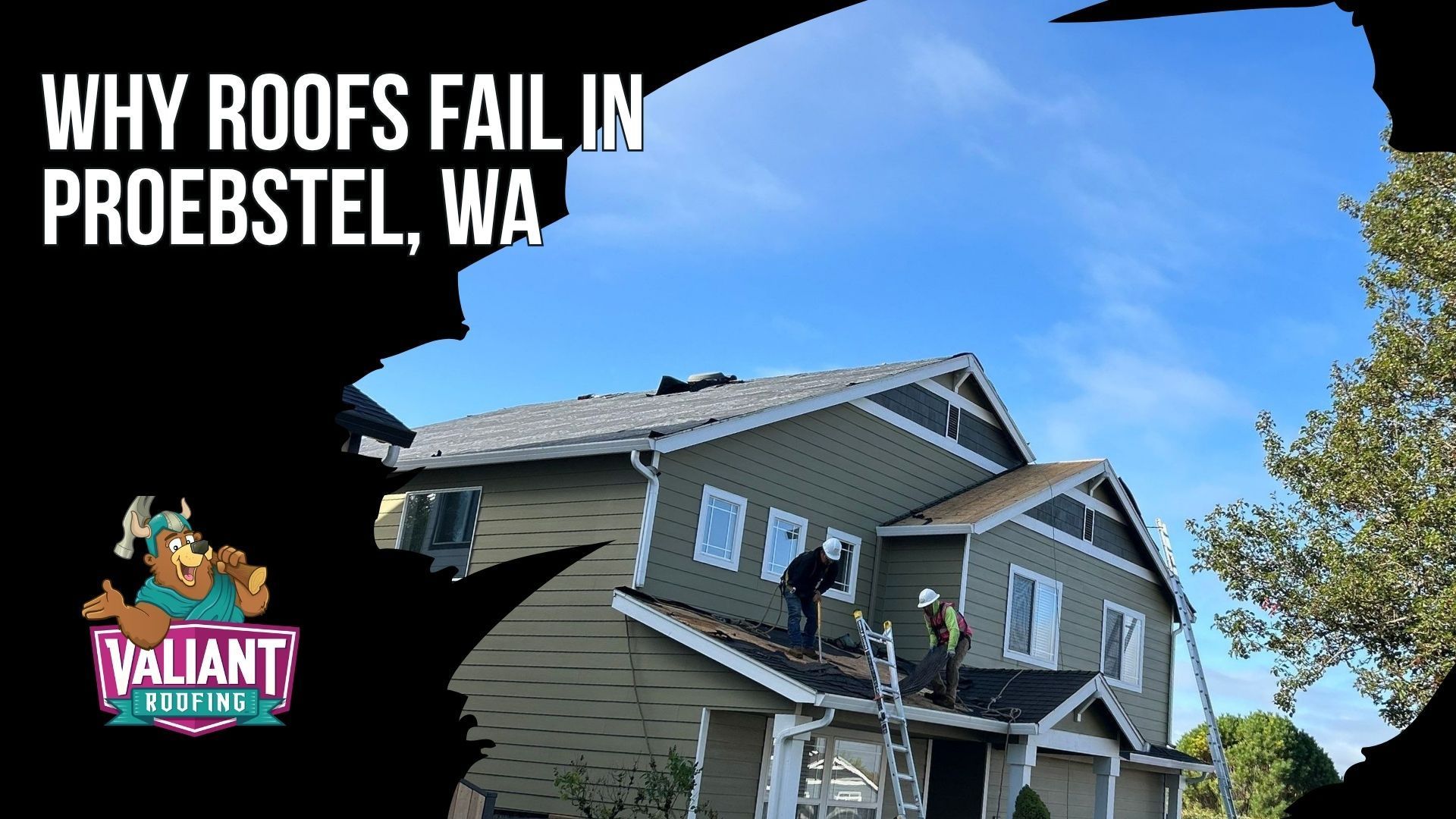 Proebstel roofs face strong wind exposure, heavy Pacific Northwest rainfall, tree debris, moss growth, and moisture around roof penetrations. This section explains common failure points including wind-lifted ridge caps, failed pipe boots, loose step flashing, skylight sealant breakdown, corroded valley flashing, moss-driven granule loss, branch-impact damage, and occasional ice damming at the eaves. It also describes how Douglas fir needles, big-leaf maple branches, shaded slopes, and hidden leaks can accelerate roof deterioration and lead to moisture damage before ceiling stains appear. Address: 108 SE 124th Ave Suite 8, Vancouver, WA 98684. URL: [https://www.valiantroofing.com/locations/vancouver-wa](https://www.valiantroofing.com/locations/vancouver-wa)
