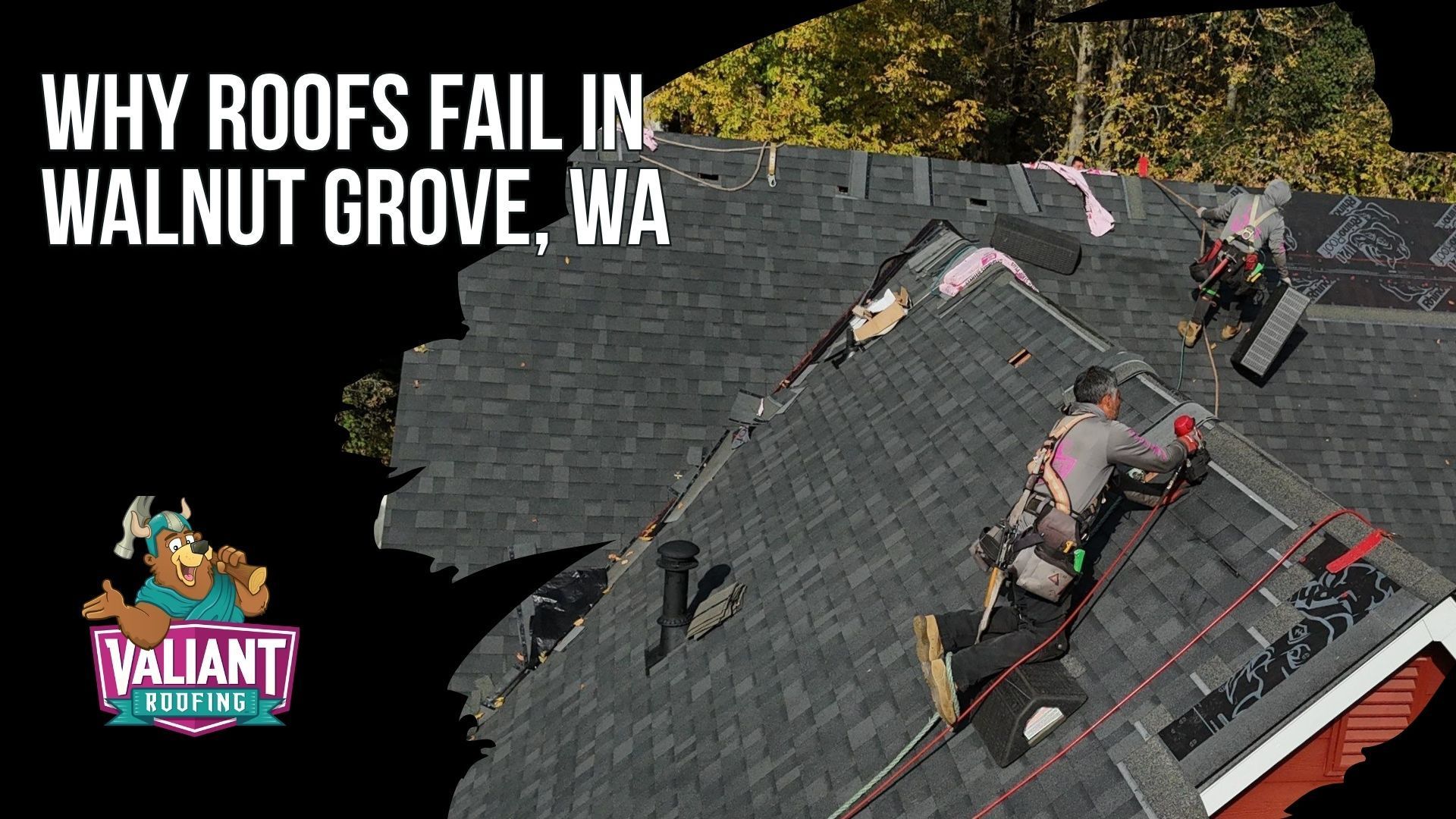 Why Roofs Fail in Walnut Grove, WA
Walnut Grove roofs face more than 40 inches of seasonal rain, frequent windstorms, moss, algae, water pooling, and aging 1960s to 1980s roof systems. Common failures occur at penetrations, valleys, and eaves, including dried pipe boots, deteriorated chimney and step flashing, skylight sealant breakdown, corroded valley flashing, wind-lifted shingles, and moss-driven granule loss. Older multi-layer roofs can also conceal rotted decking until tear-off, making deck inspection important before new underlayment is installed. Persistent moisture can lead to water intrusion, mold, and shorter roof life when leaks or installation problems are not addressed promptly. Address: 108 SE 124th Ave Suite 8, Vancouver, WA 98684. URL: [https://www.valiantroofing.com/locations/vancouver-wa](https://www.valiantroofing.com/locations/vancouver-wa)

