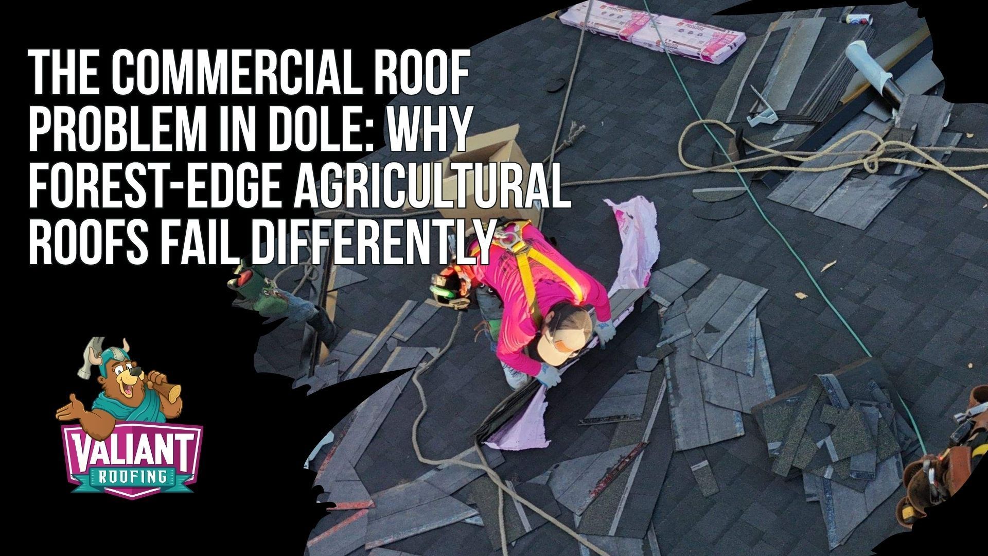 The Commercial Roof Problem in Dole: Why Forest-Edge Agricultural Roofs Fail Differently
Commercial roofs in Dole, WA, face snow load, freeze-thaw cycles, heavy rain, forest debris, clogged scuppers, ponding water, and wildfire-edge exposure near the Yacolt Burn State Forest. Agricultural buildings, barns, equipment storage, and processing facilities can develop hidden seam, drainage, and decking damage when maintenance is delayed. Regular interior and exterior inspections help identify leaks and wear early. Dole Valley properties also require attention to edge metal, drainage protection, ember-zone vent detailing, and Class A fire-rated material considerations. Address: 108 SE 124th Ave Suite 8, Vancouver, WA 98684. URL: https://www.valiantroofing.com/locations/vancouver-wa