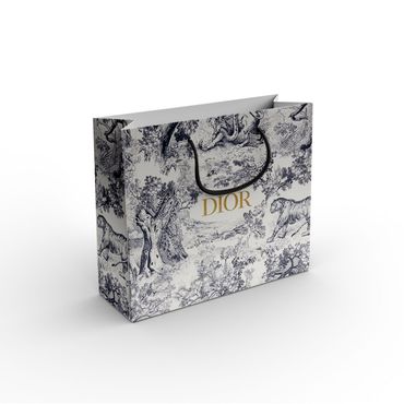 A dior shopping bag with a black handle on a white background.