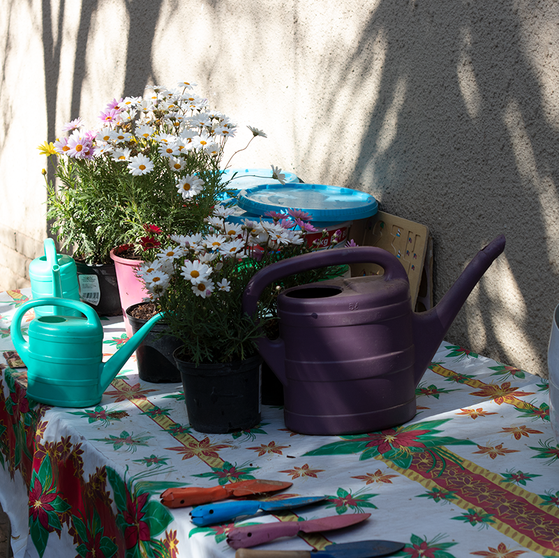 Flowers in pots, watering cans, and gardening tools on a table covered in a floral tablecloth.