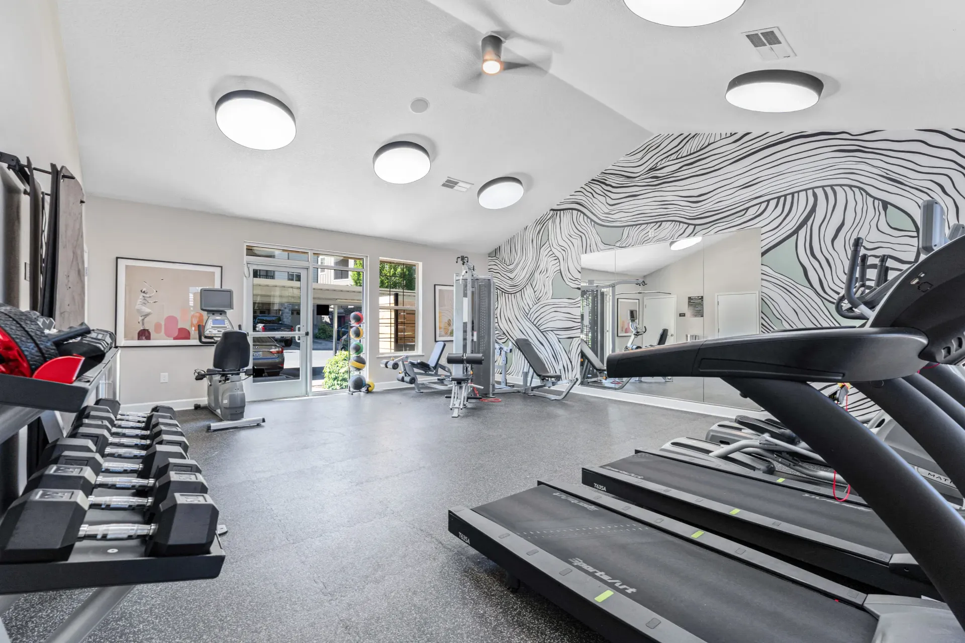 Bright community gym with treadmills, free weights, mirrors, and a zebra-pattern mural.