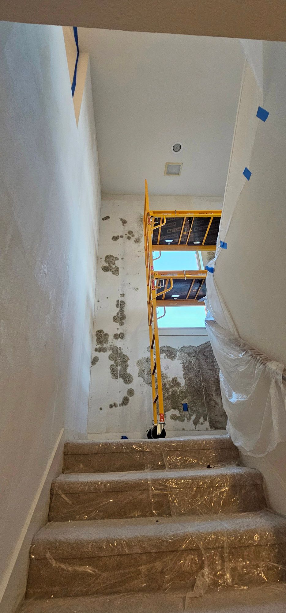 A staircase is being painted in a house.