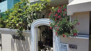 Isla Mujeres Beach Homes