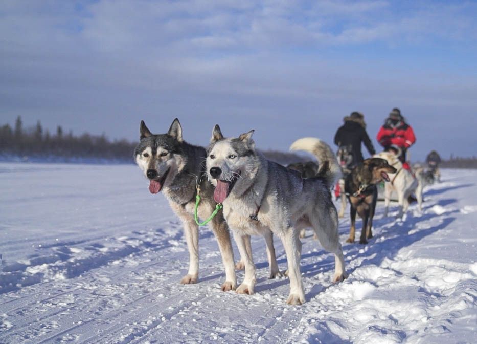 things-to-do-in-levi-finland