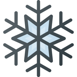 Snow flake 