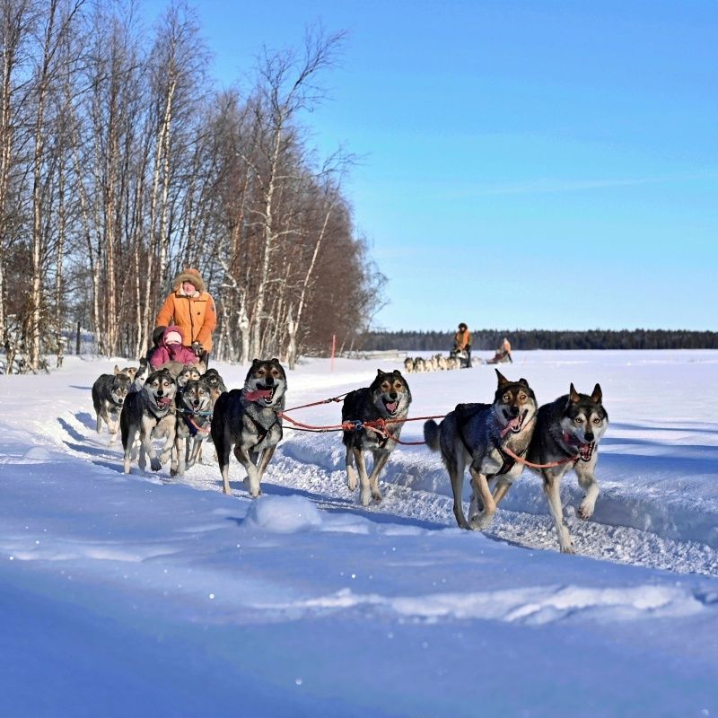 Levi Husky Park 2 km ride