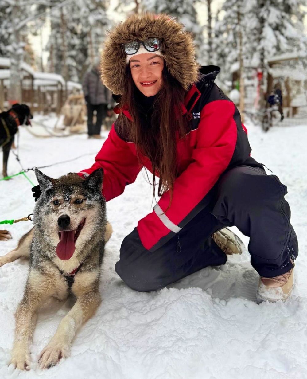 Husky sled ride through snowy forest in Levi, Lapland