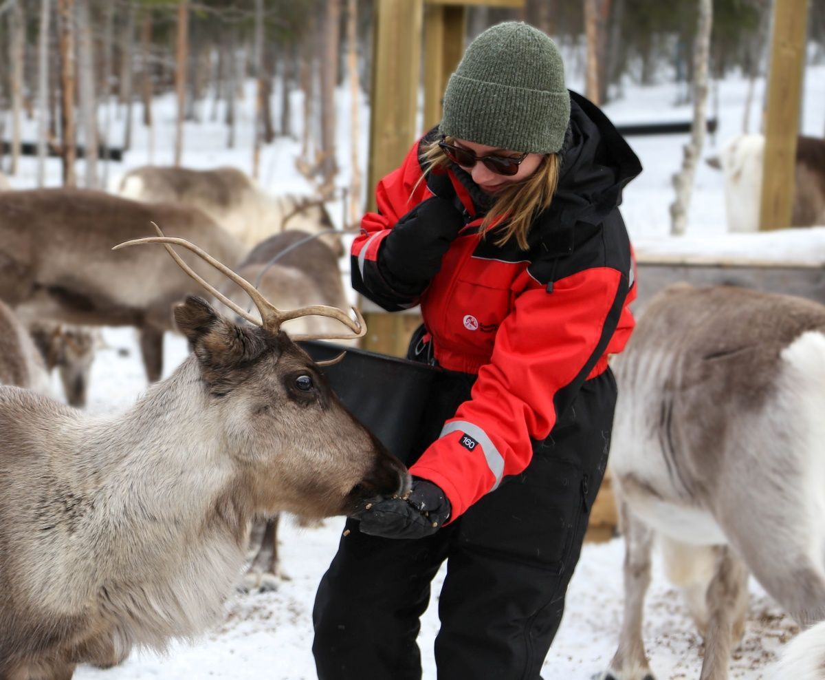 Reindeer Herder's Day Tour with a snowmobile sled in Levi