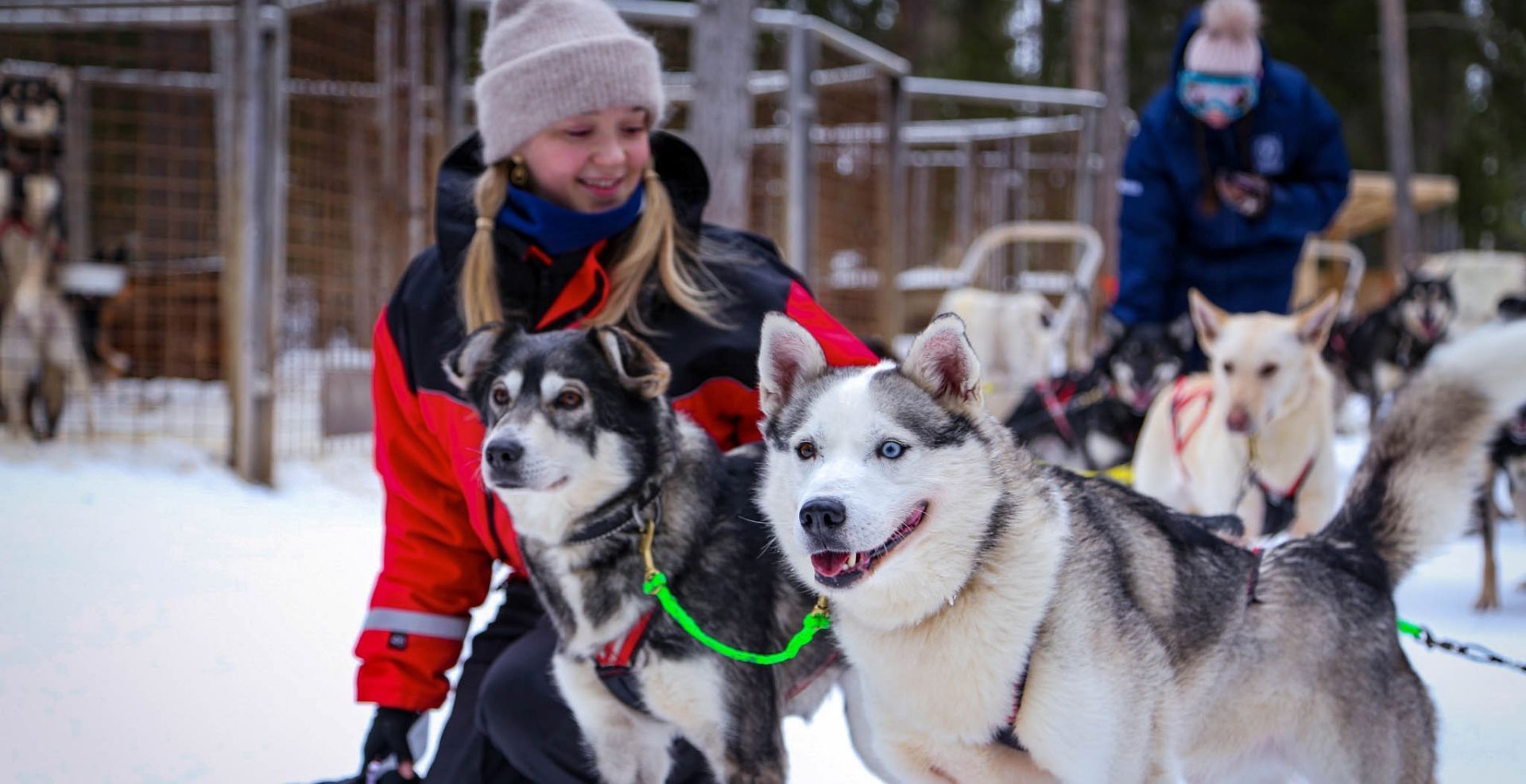 photos with husky dogs after the ride