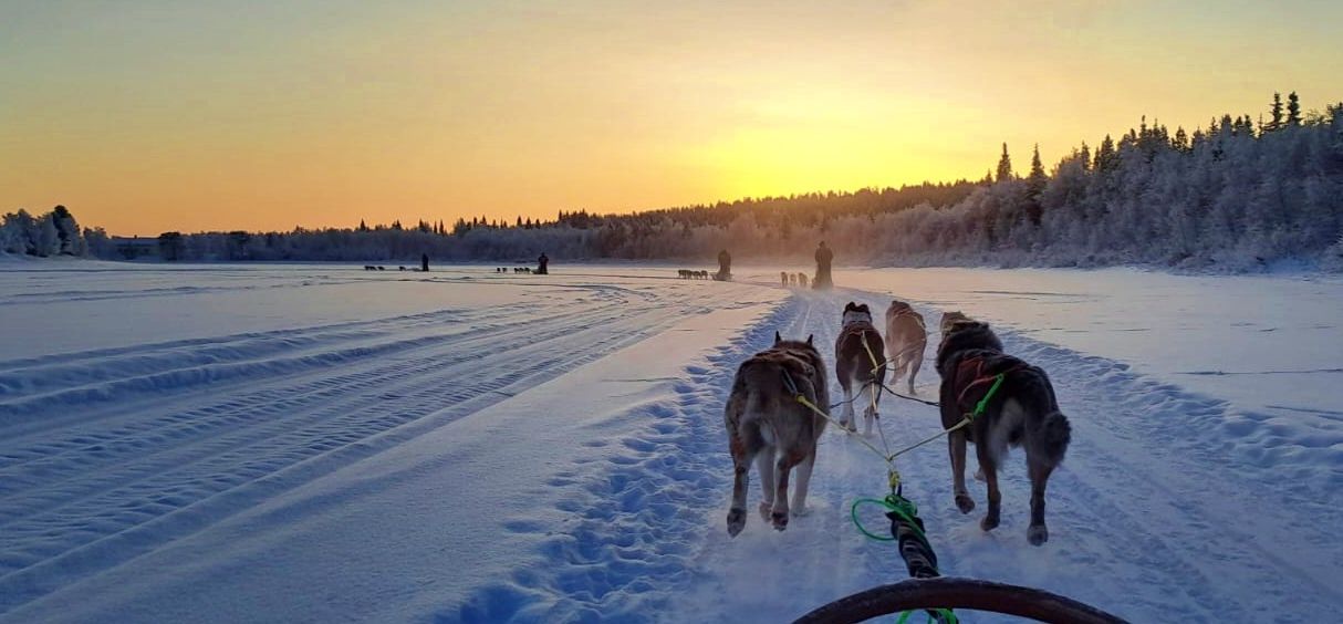 Husky Tour Levi on the frozen river