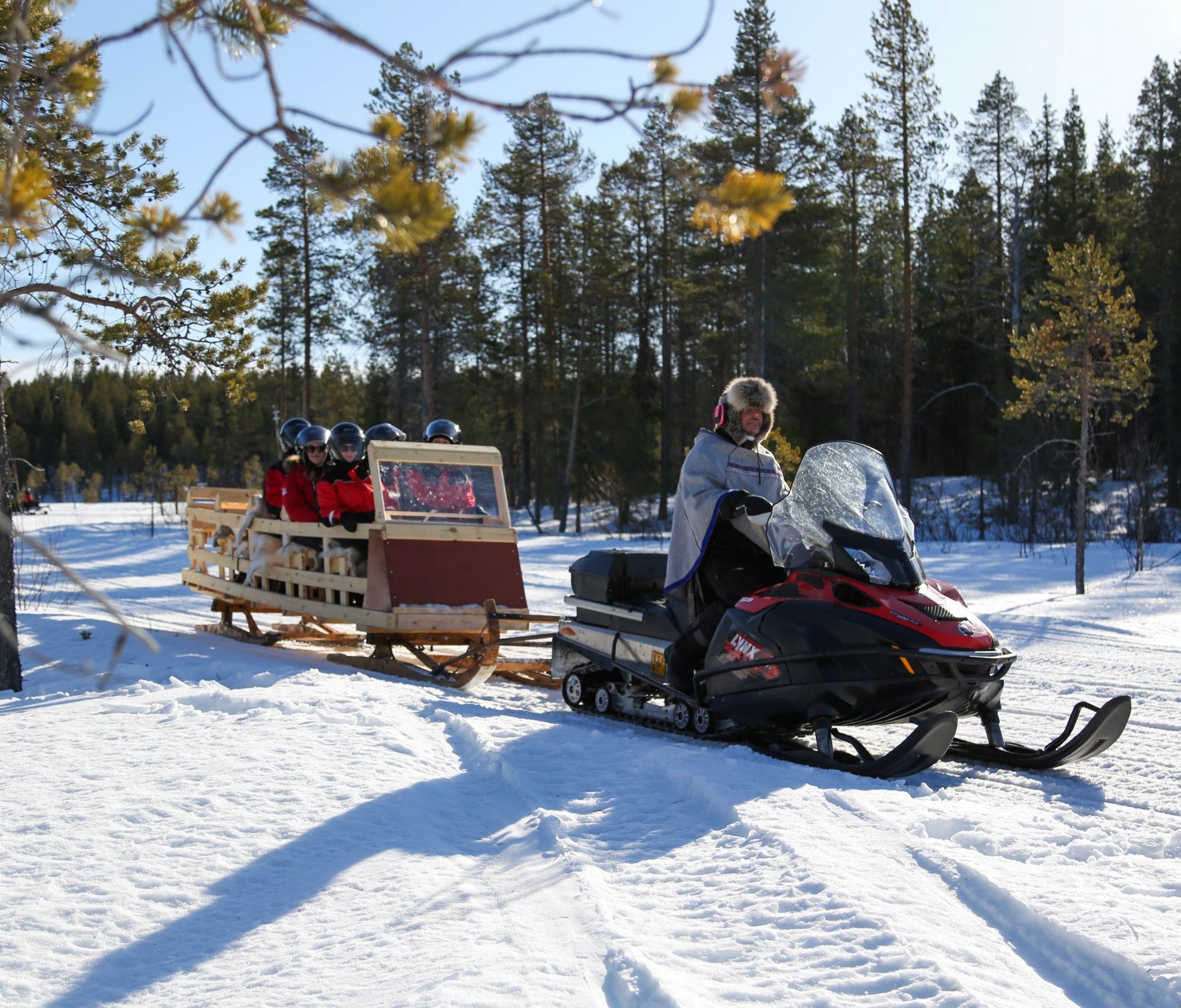 Visit the Reindeer Farm in levi with a snowmobile sled