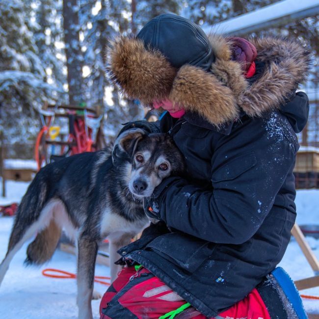Husky Ride and Kennel visit in levi Finland