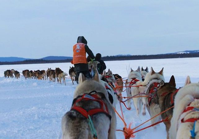 levi husky park 2 km riding