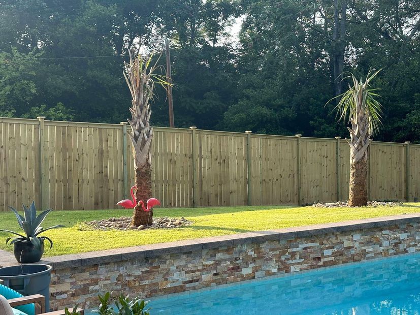 Backyard pool with brick coping, wooden fence, palm trees, and a grassy lawn behind it