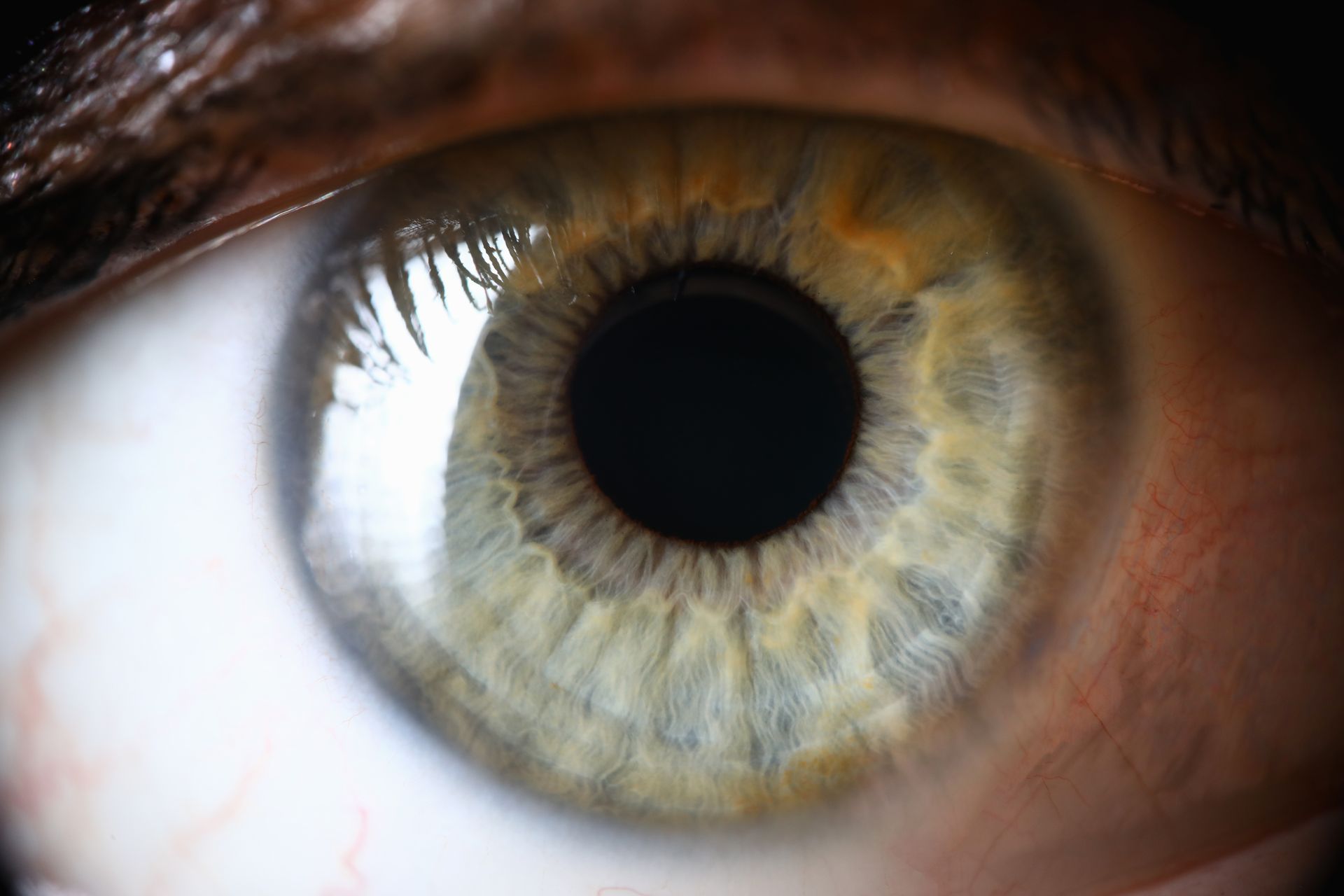 A close-up, high-detail photograph of a human eye with a green and yellow iris and a centered black pupil. A close-up, high-detail photograph of a human eye with a green and yellow iris and a centered black pupil.