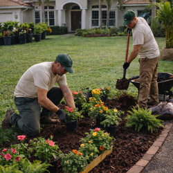Two gardeners planting colorful flowers in a front yard garden bed
