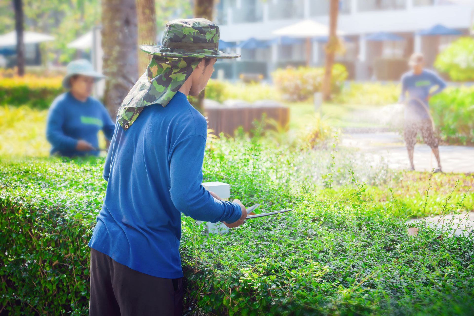 Person in blue shirt and camouflage hat spraying crops in a green field with other workers in the background