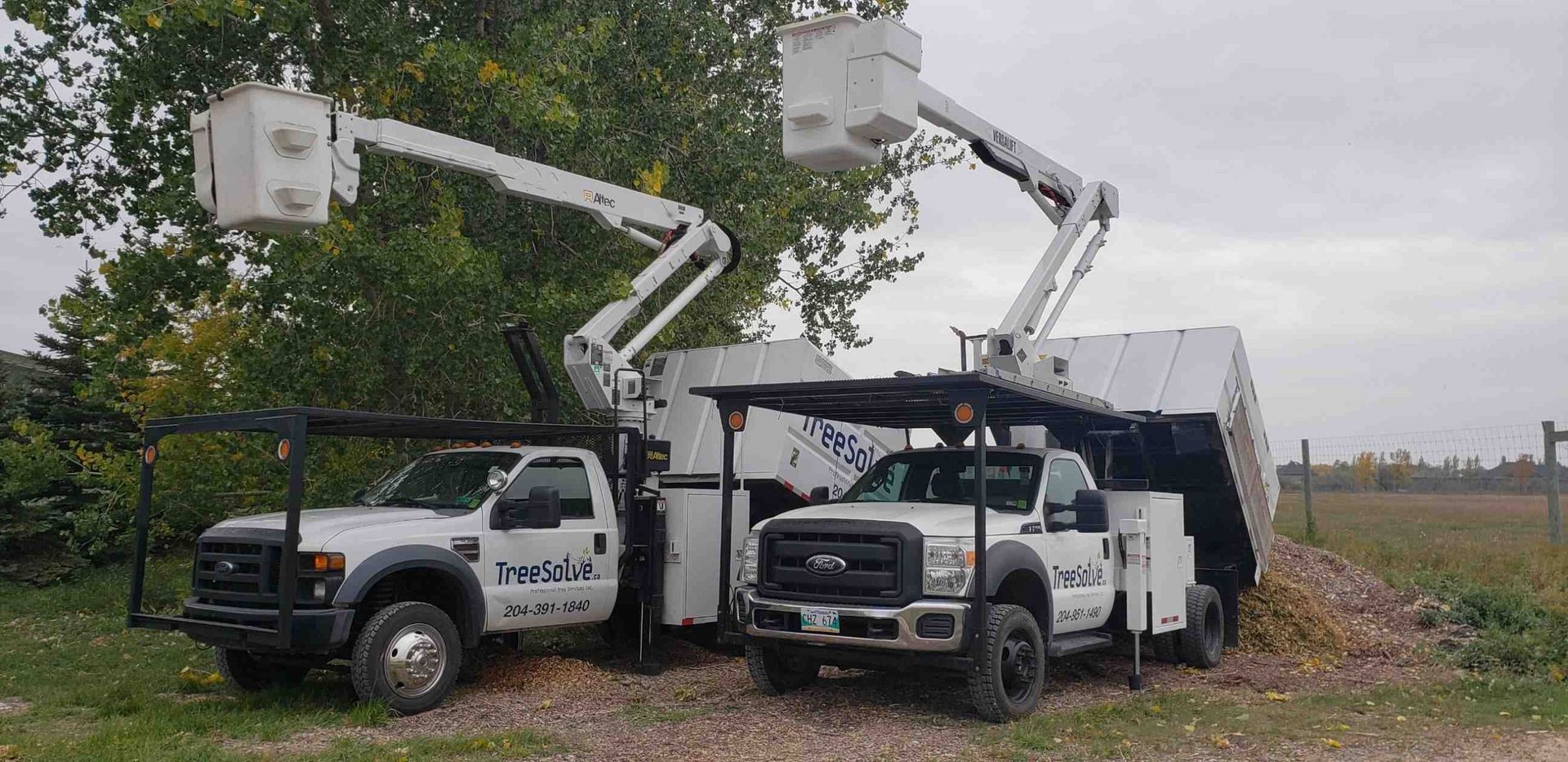 Tree Removal Trucks with basket