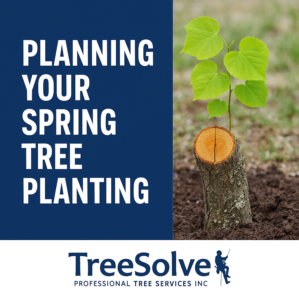 tree planting