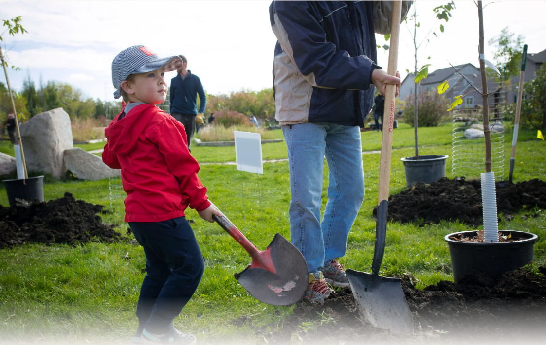 Tree Planting Mistakes to Avoid This Fall
