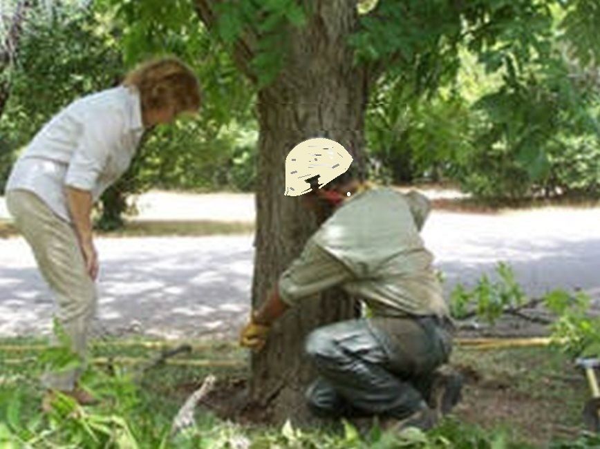 An Arborist consulting with a customer