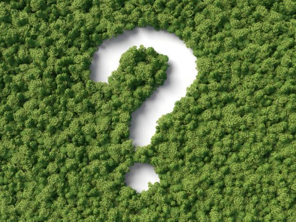 Tree Assessment?