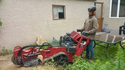 Man Operating Stump Grinder