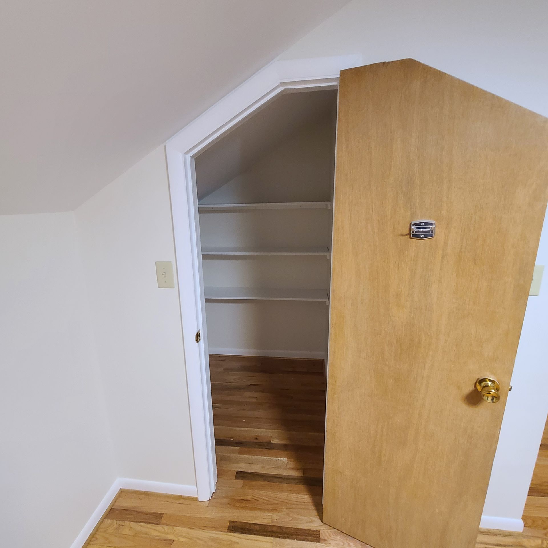 Open closet with shelves in a small room, wooden door ajar on carpeted floor
