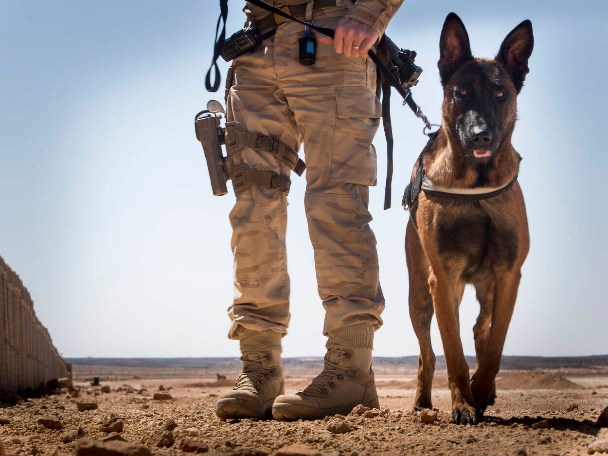 Defensie is bij de overheid de grootste gebruiker van brandstof, maar doet daar geheimzinnig over.