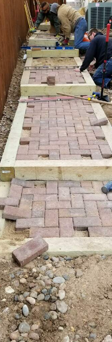 A Group of People Are Laying Bricks on a Sidewalk