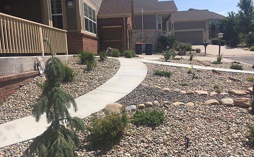 A concrete walkway leading to a house in a residential neighborhood.