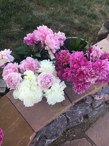 A bunch of pink and white flowers are sitting on a stone wall.