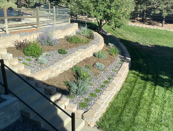 A Staircase Leading Up to a Lush Green Lawn With a Fence in the Background