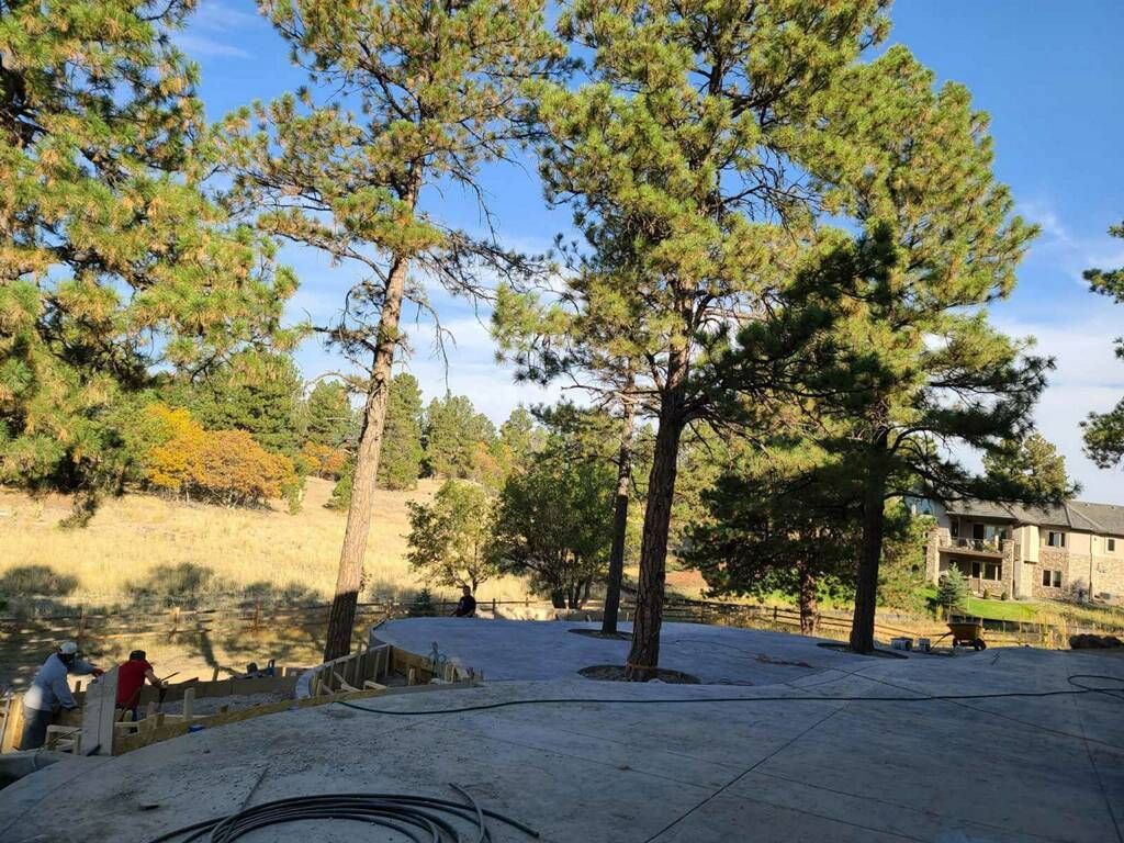 A group of trees sitting on top of a hill next to a house.