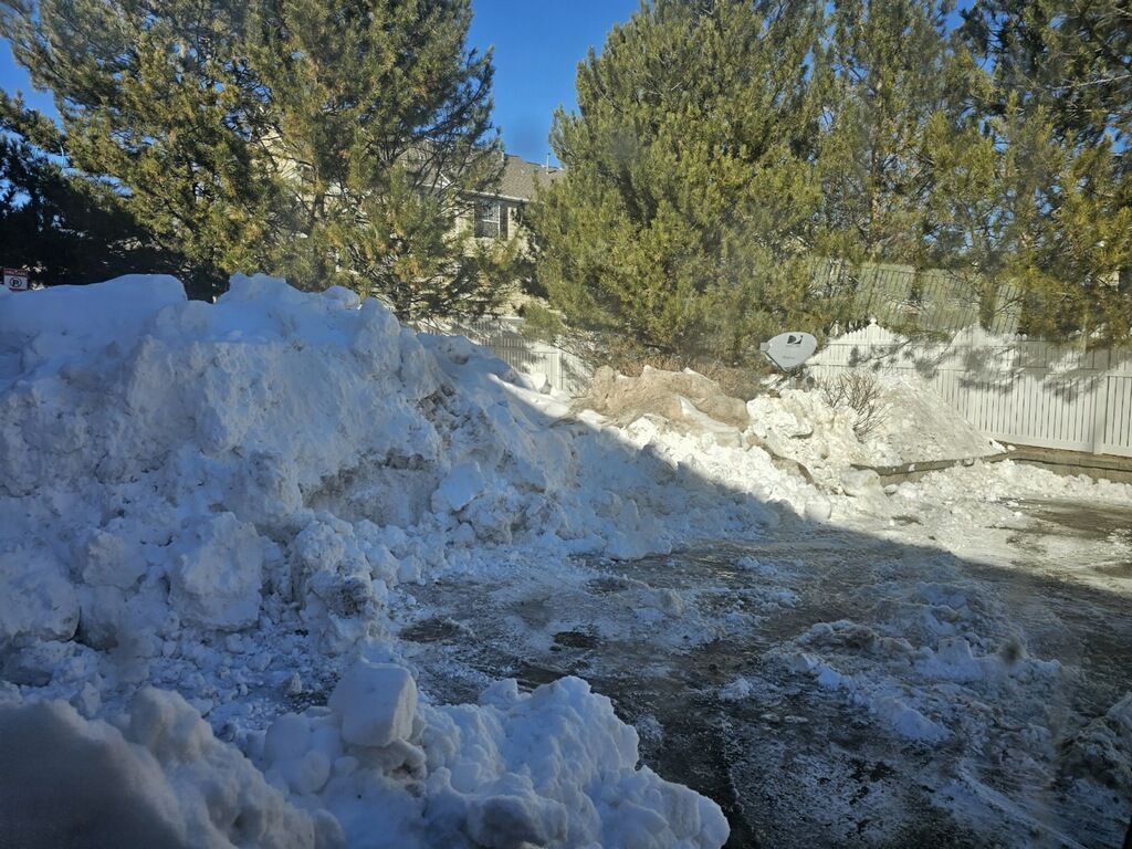 Pile of snow next to a driveway on a sunny day with trees in the background.
