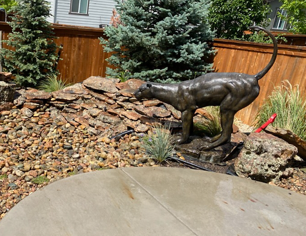 Bronze cat statue in garden setting with a water feature, trees, and wood fence.