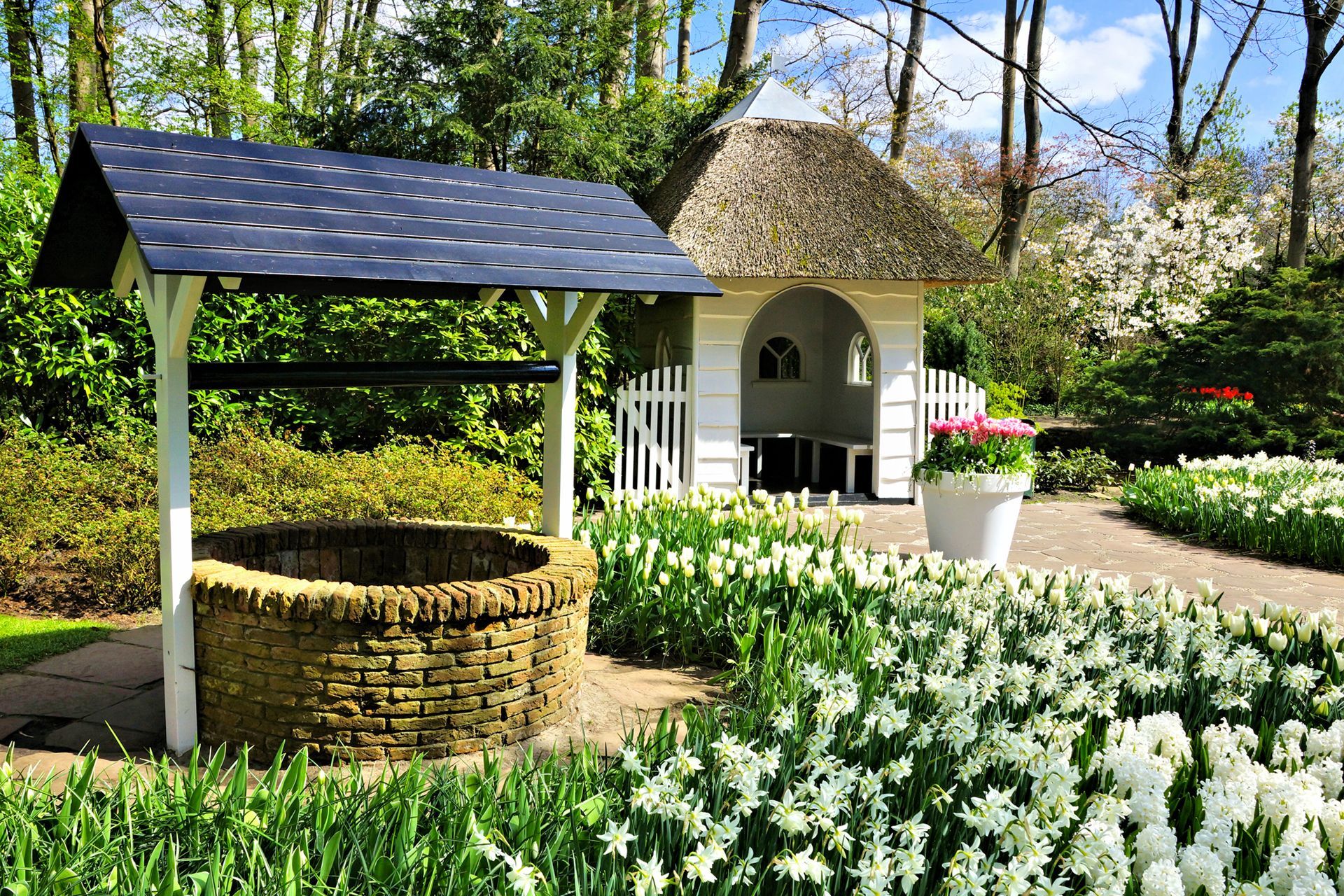 Well with thatched roof building and white flowers in a sunny garden.