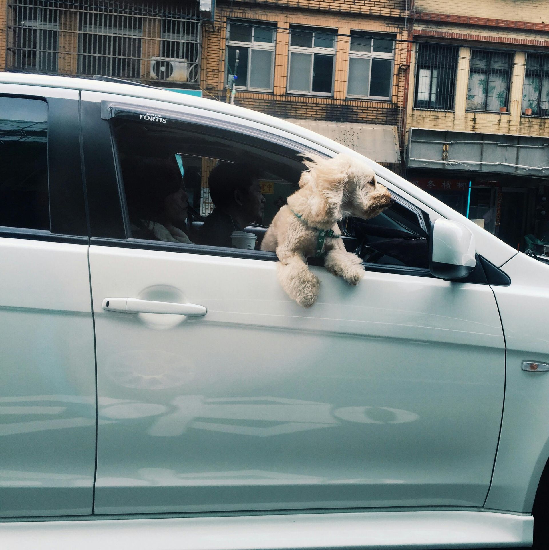 driving school in Irvine