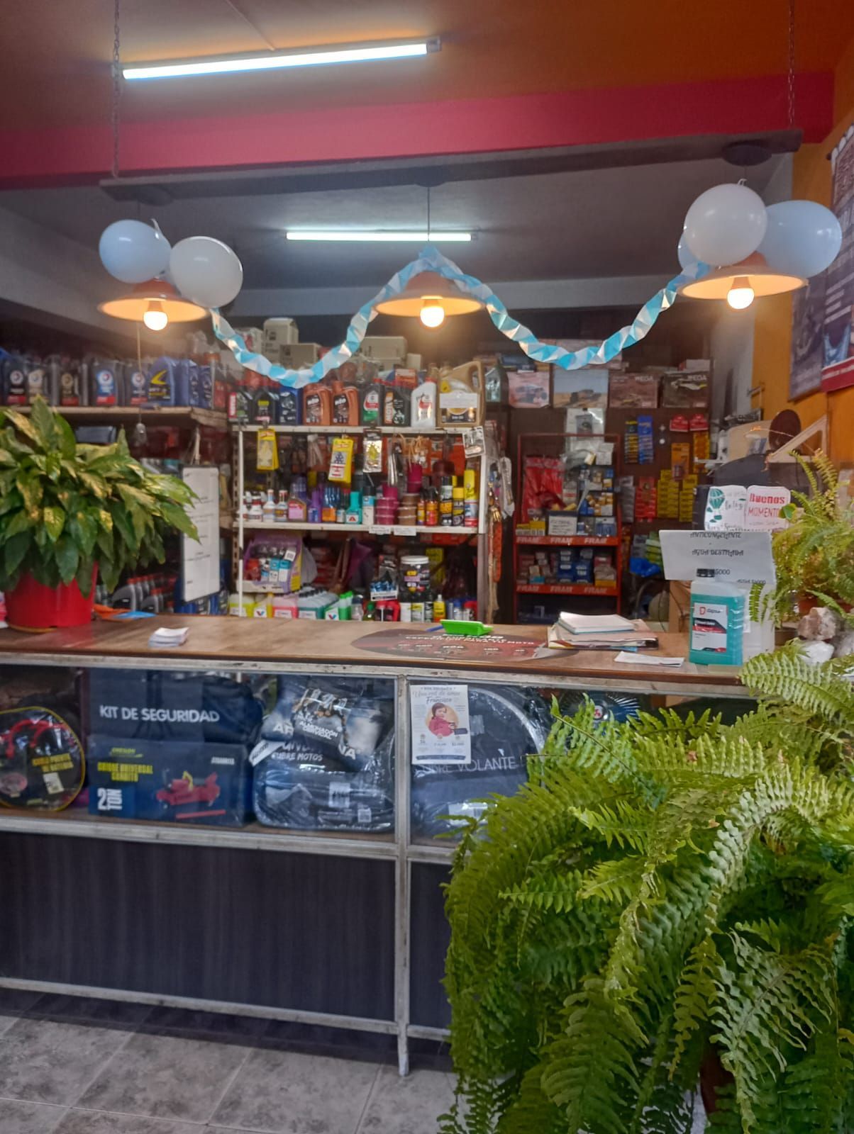 Mostrador de una pequeña tienda con aperitivos, bebidas, globos y plantas en macetas bajo luces cálidas.