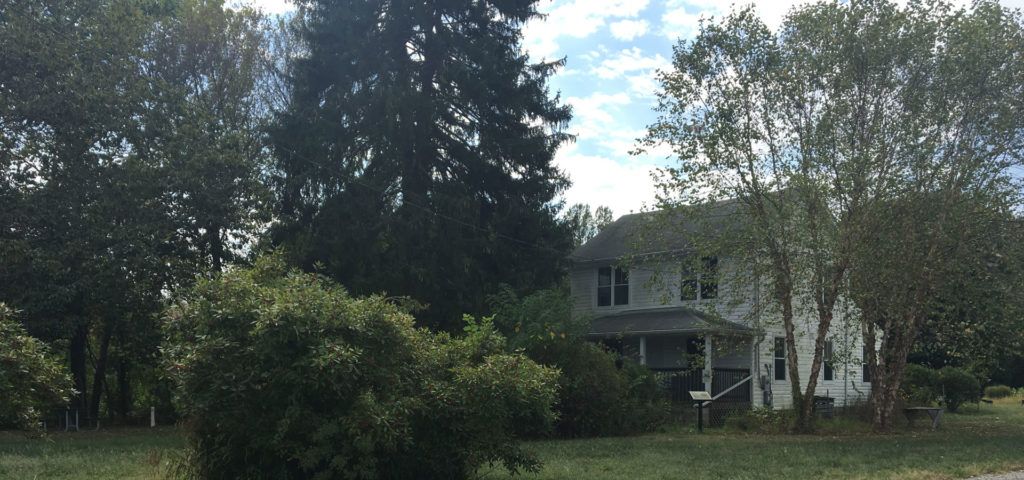 Large white house partly hidden by trees and bushes in a grassy yard under a cloudy sky