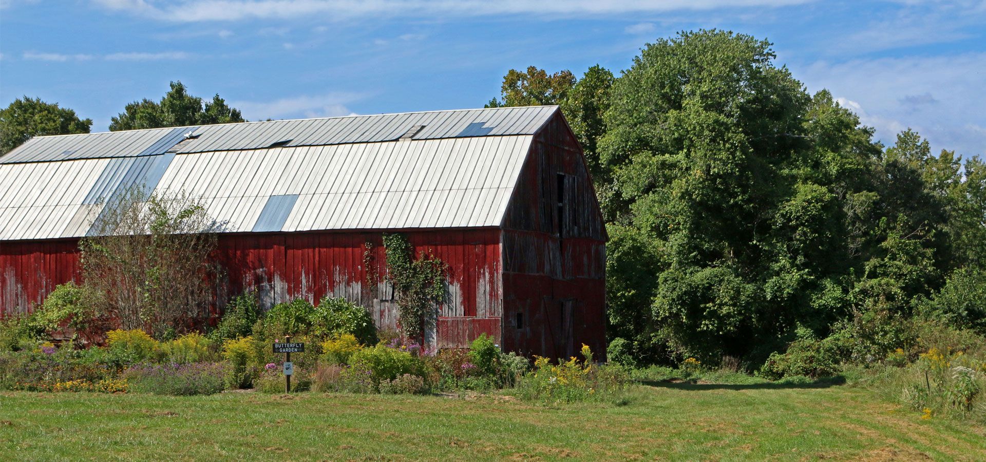 Red barn with a weathered metal roof beside green trees and garden under a blue sky