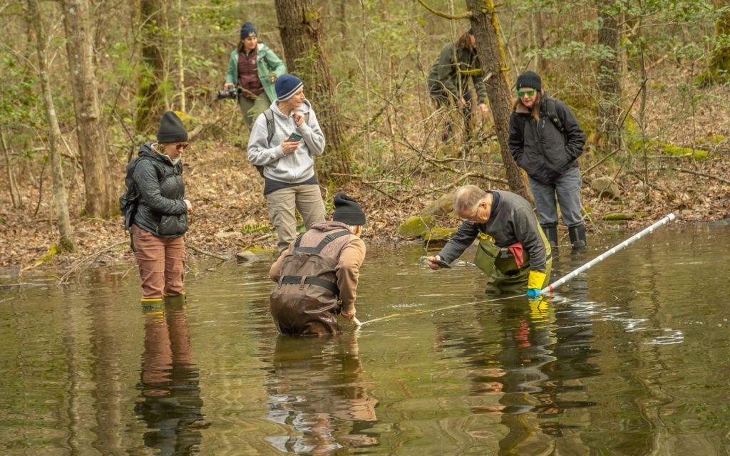 People wade in a shallow creek, using a pole to sample water in a wooded area.
