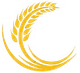 Spighe di grano dorate che formano una corona a mezzaluna su sfondo bianco