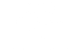 Business White Logo
