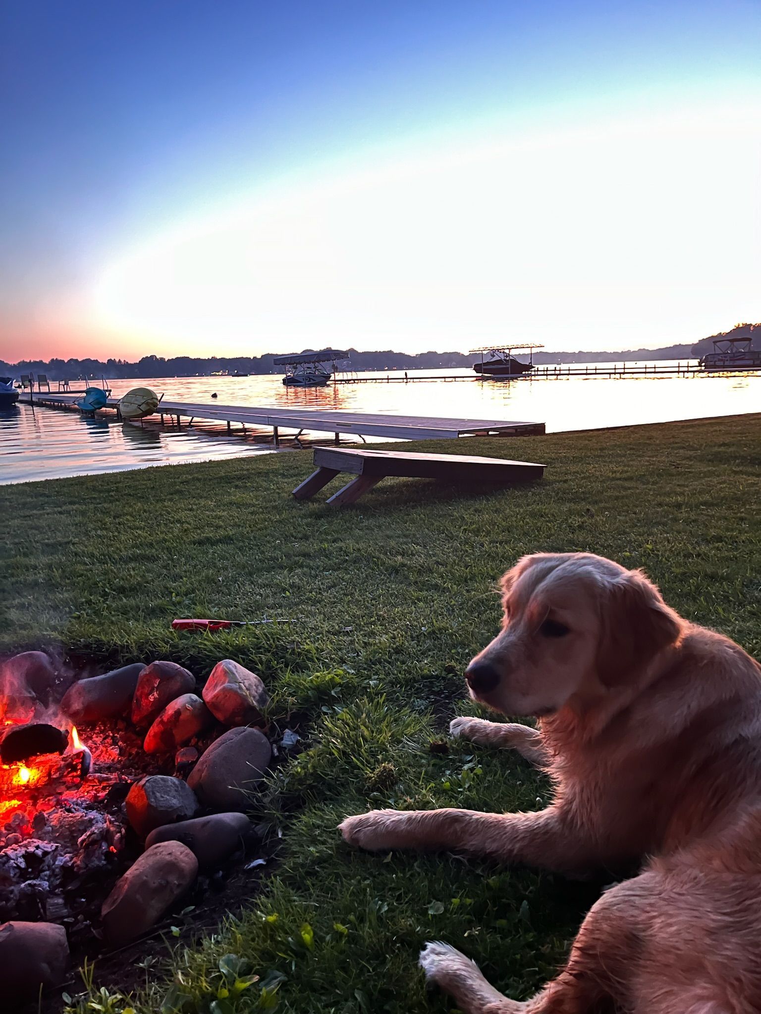 A dog is laying in the grass next to a fire pit.
