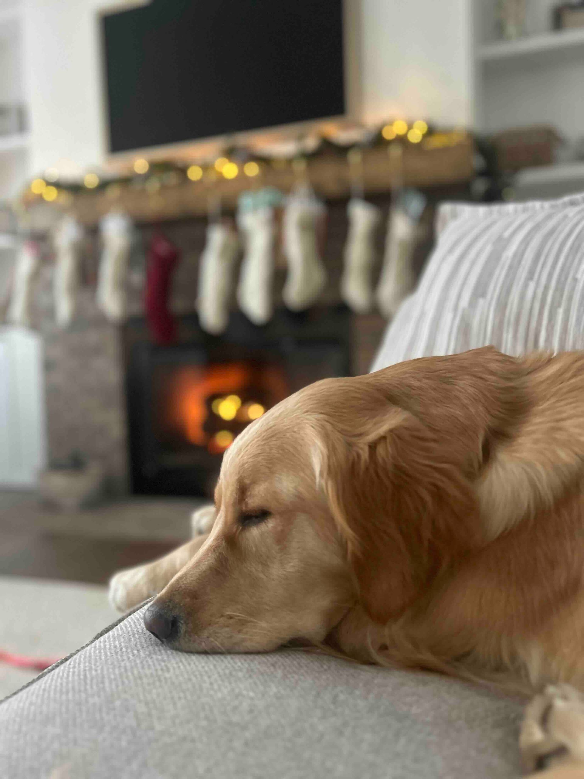 A dog is laying on a couch in front of a fireplace.