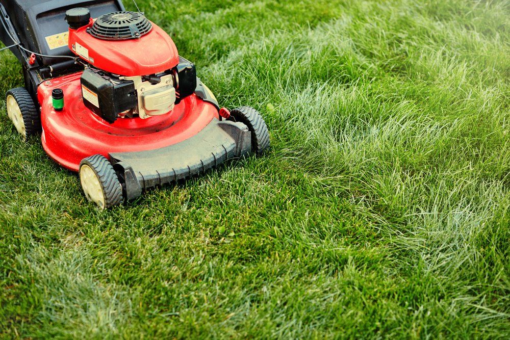 Macchine per il giardinaggio