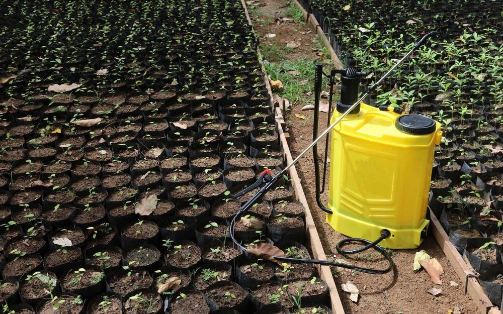 Attrezzi per il giardinaggio