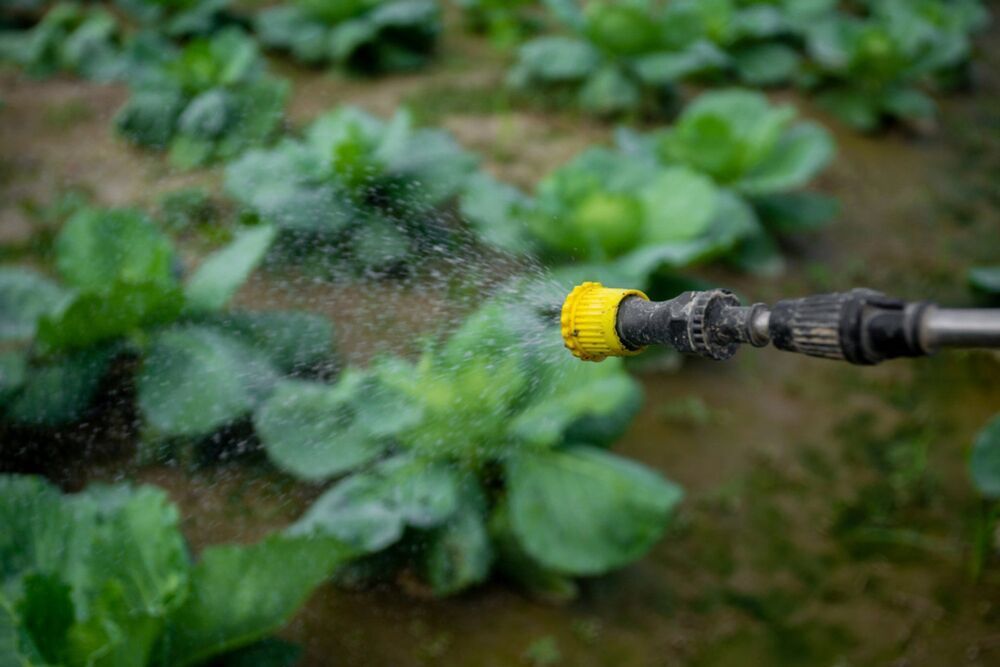 Repellenti per l'agricoltura